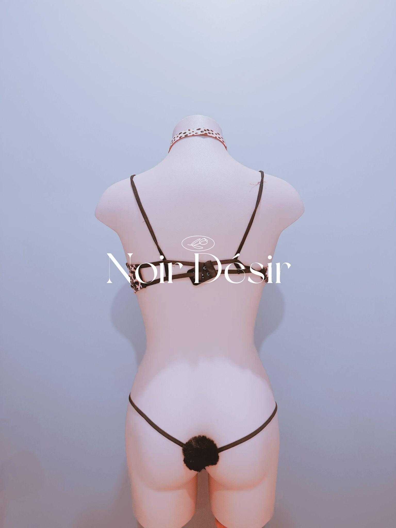 Wild Cat Leopard Print Lingerie Set
