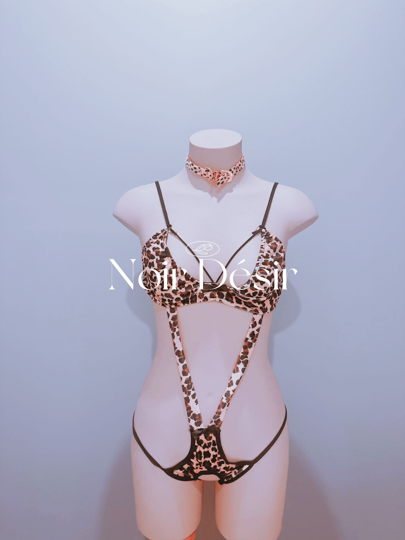Wild Cat Leopard Print Lingerie Set